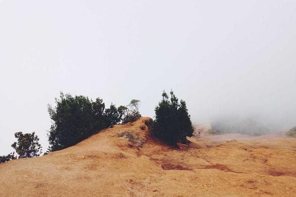 Leading Agentic Marketing Organizations: Why Your Progression Matters